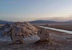 Sales de Jujuy crear&aacute; pulmones verdes en la Puna junto a las comunidades locales