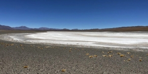 Litio: Argentina duplicar&aacute; su cuota global para 2027 gracias a un proyecto de Jujuy