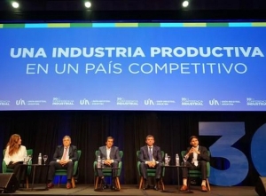 Inversiones: Sadir anticip&oacute; &ldquo;de tres a cuatro proyectos mineros&rdquo; en el marco del RIGI