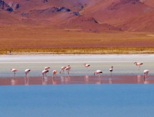 Avanzan en la conservaci&oacute;n y desarrollo de cerca de 400 mil hect&aacute;reas de la Laguna de Pozuelos