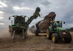 Finaliz&oacute; la Zafra 2023 en el Ingenio Ledesma