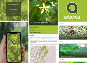 Llega la app del NOA para conocer los árboles nativos y exóticos asilvestrados