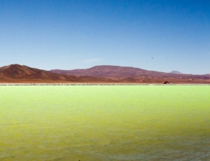 Regionalizaci&oacute;n de proveedores mineros y litio como eje de unidad entre las provincias