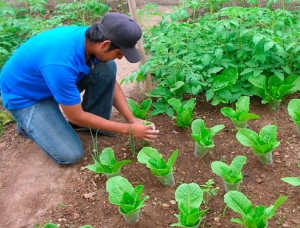 Denuncian &ldquo;altos &iacute;ndices de informalidad&rdquo; en actividades productivas