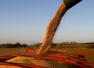 Baja de retenciones permitir&aacute; producir USD 28.800 millones m&aacute;s en 10 a&ntilde;os y aumentar la producci&oacute;n de granos