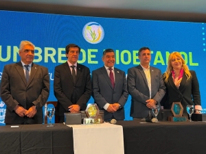Sadir plante&oacute; elevar al 15% el corte de bioetanol para impulsar al sector productivo del NOA