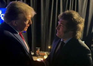 Los ojos de Trump y Milei en el comercio y la miner&iacute;a argentina