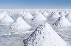 Salta ser&aacute; sede del evento l&iacute;der relacionado al litio a nivel global