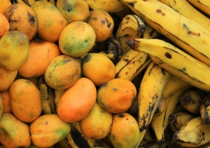 Jujuy apuesta por la producci&oacute;n de frutas tropicales