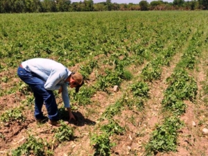Productores afectados por el temporal  ser&aacute;n asistidos por el Gobierno