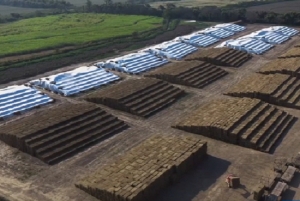 Jujuy es protagonista en la reducci&oacute;n de huella de carbono y producci&oacute;n sostenible