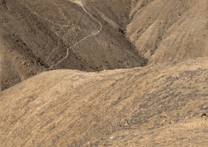 Latin Metals adquiri&oacute; un proyecto de cobre en la provincia