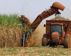 Mesa Nacional de Vinaza y la exigencia de un &ldquo;plan de gesti&oacute;n sustentable&rdquo;