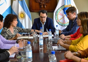 Dengue en la agenda parlamentaria