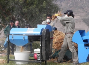 Ajuste en el INTA: se esperan definiciones
