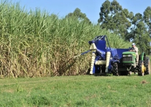 "Pedimos un freno en la creaci&oacute;n de nuevos grav&aacute;menes"
