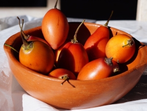 Celebran el fin de cosecha del Chilto en Valle Grande