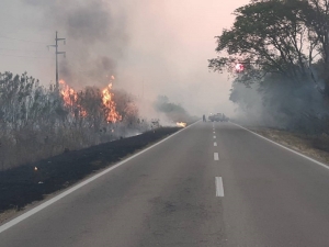 Fuego en bosques y campos productivos, con &ldquo;significativas p&eacute;rdidas econ&oacute;micas&rdquo;