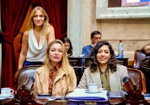 Chaher: &ldquo;El Congreso va a investigar la mayor estafa en la que un presidente de la Naci&oacute;n se ve involucrado&rdquo;