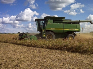La compra y venta de campos fue afectada por la sequ&iacute;a: en enero la actividad cay&oacute; alrededor de un 20%