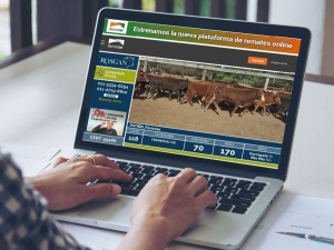 Expoagro: se viene la segunda subasta online en Rematar