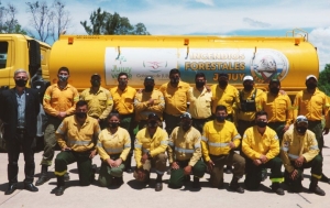 Hacia la reglamentaci&oacute;n del R&eacute;gimen de Brigadistas de Incendio de Vegetaci&oacute;n