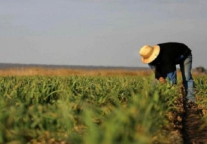 Senadora celebró el compromiso nacional para prorrogar el decreto 514/21