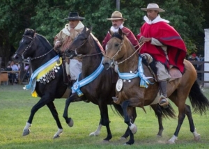 Caballos Peruanos de Paso: exhibici&oacute;n gratuita en Jujuy