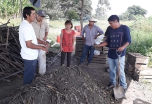 Cooperativa desarrolla con &eacute;xito abono agroecol&oacute;gico