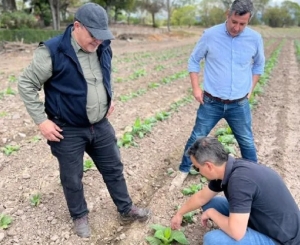 Agenda con Naci&oacute;n para fortalecer a productores del sector tabacalero