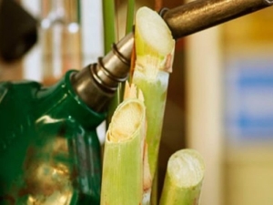 El bioetanol de ca&ntilde;a de az&uacute;car tracciona al sector energ&eacute;tico con un crecimiento del 16,4% al cierre de 2025