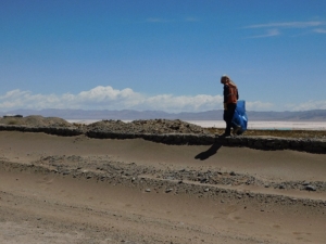 Saneamiento de la Reserva Olaroz-Cauchari