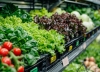 El mismo producto hasta un 9,2% más caro, según el supermercado y la región