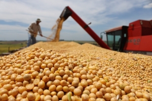 Econom&iacute;as regionales se destacaron en la industria de alimentos y bebidas