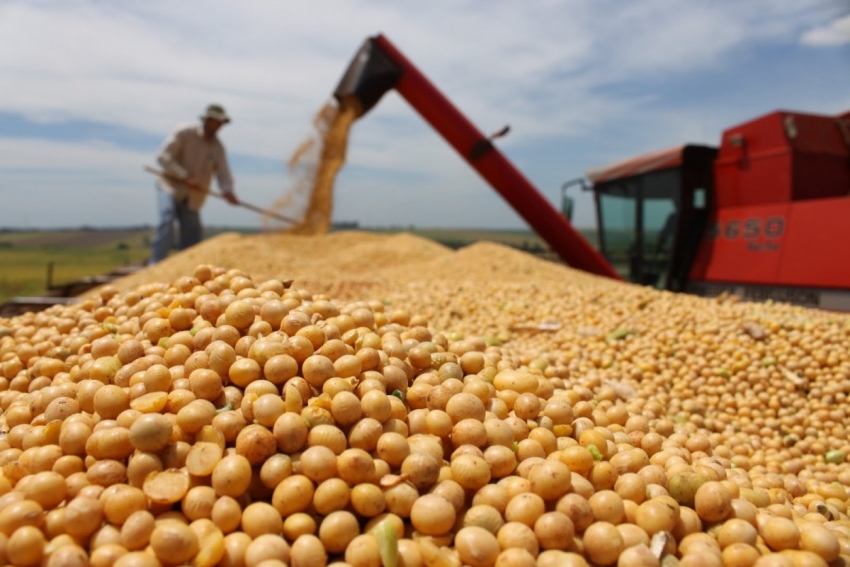 Econom&iacute;as regionales se destacaron en la industria de alimentos y bebidas