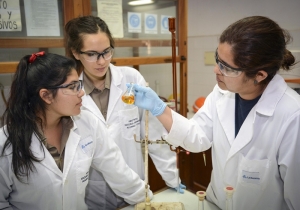 &iquest;Desarrollo sostenible en el modelo de negocios? Jujuy ante el compromiso de la ONU