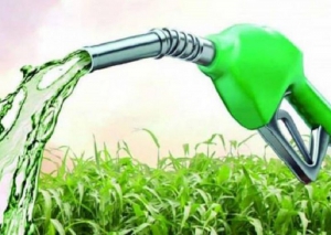 &ldquo;El bioetanol de ma&iacute;z no debe ser discriminado del bioetanol origen de ca&ntilde;a az&uacute;car&rdquo;