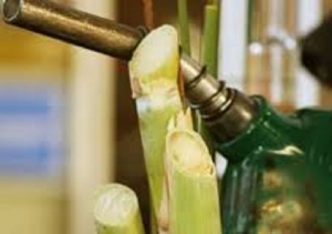 El Parlamento del NOA pidió nuevamente prorrogar la ley de biocombustibles