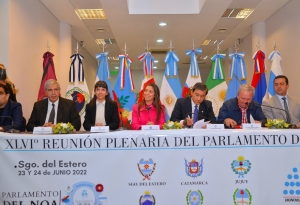 El Parlamento del Norte Grande inici&oacute; el debate con un plenario de comisiones