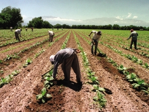 Comienza registro de 1000 trabajadores rurales