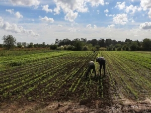Simplifican el acceso a la asistencia para los productores