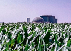 Volvieron a prorrogar la vigencia de la Ley de Biocombustibles