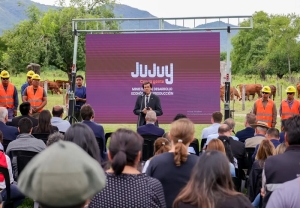 M&aacute;s de mil millones de pesos para la mejora gen&eacute;tica de la ganader&iacute;a juje&ntilde;a