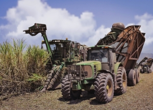 Mejora salarial del 23% para los azucareros de Ledesma