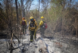 Se redujo el avance del fuego en las Yungas