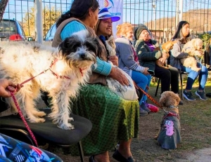 &ldquo;Primavera Canina&rdquo;: as&iacute; se prepara la expo del domingo 24