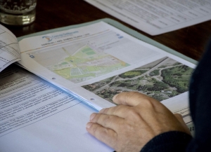 Forestación urbana y educación ambiental: avanzan con la creación de programas específicos