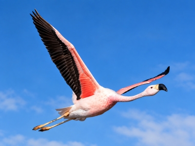 EXAR recibió una mención especial por su trabajo ambiental y el estudio de la biodiversidad en Jujuy