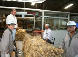 Productores tabacaleros recibieron financiamiento por un monto de 5.000.000 de d&oacute;lares