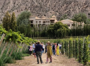 As&iacute; se prepara el Festival de la Vendimia de "El Bayeh"